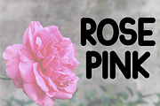 Aweshome Flowers, a Sans Serif Font by FreshTypeINK (Thumbnail 3 of 8)