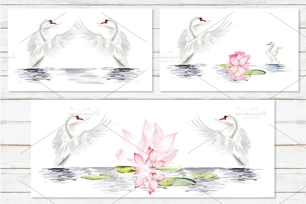 Watercolor swans, an Animal Illustration by Budogoshch (Photo 4 of 8)