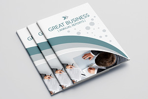 Business Annual Report 16 Pages