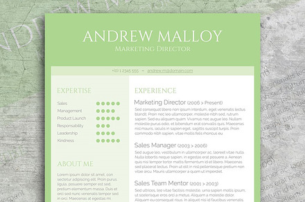 Fresh Mint CV Template