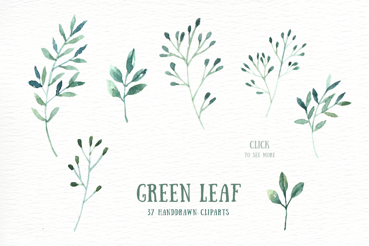 Green Leaf Watercolor clipart, an Illustration by everysunsun (Photo 4 of 4)