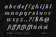 New Valley - Pixelate Italic Serif, a Serif Font by Typia Nesia (Thumbnail 3 of 15)