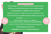 Heights Asterick Modern Handwritten, a Script Font by stylishtype.co (Thumbnail 14 of 15)