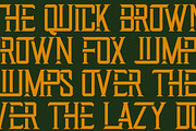 Startrail Futuristic Retro Family, a Serif Font by Lettertype Studio (Thumbnail 9 of 15)