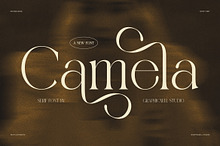 Camela Elegant Serif Font