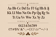 Roast Ledger - Modern Serif Font, a Serif Font by overlaytemplates (Thumbnail 4 of 5)