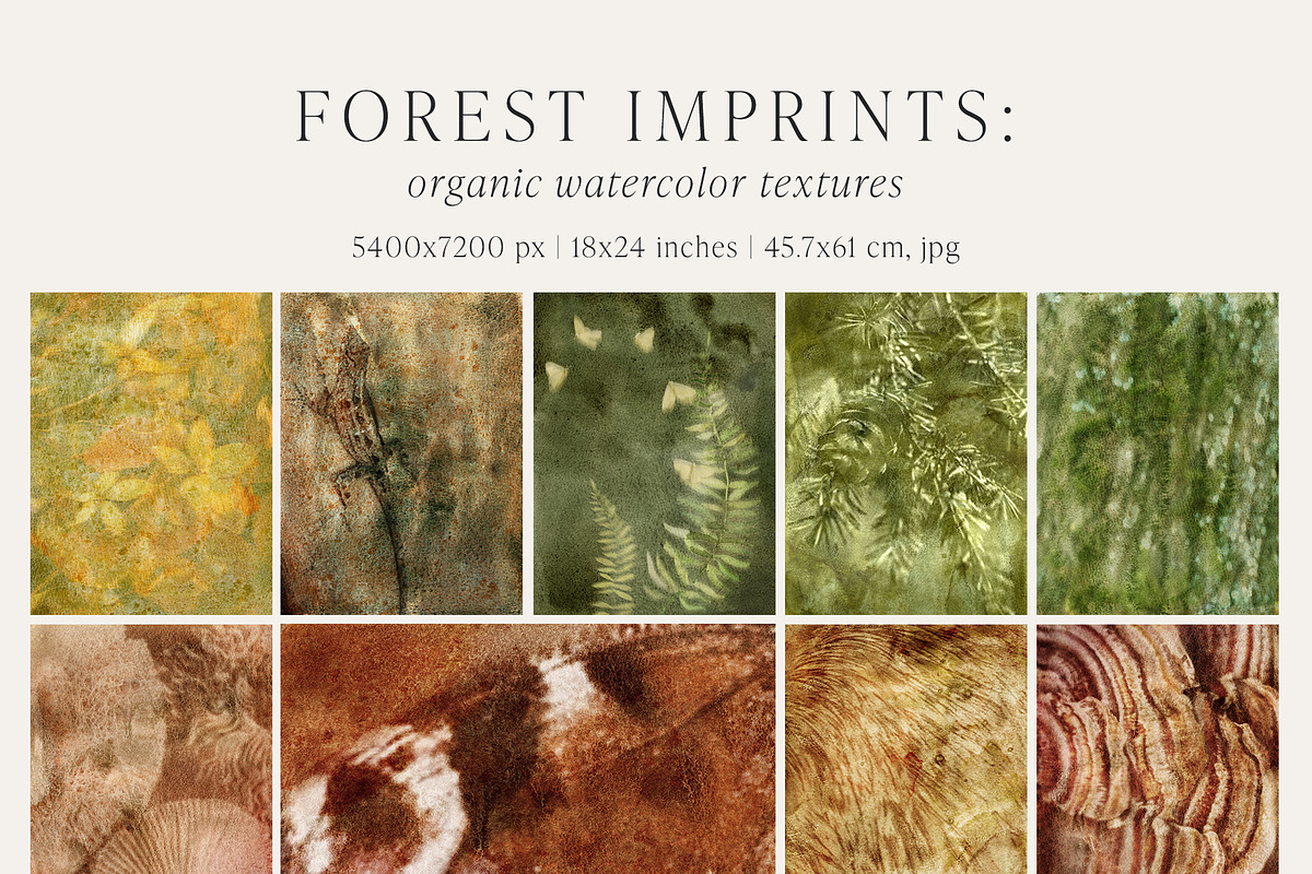 Forest Imprint Botanical backgrounds, a Background Graphic by Yuliya Derbisheva (Photo 7 of 11)