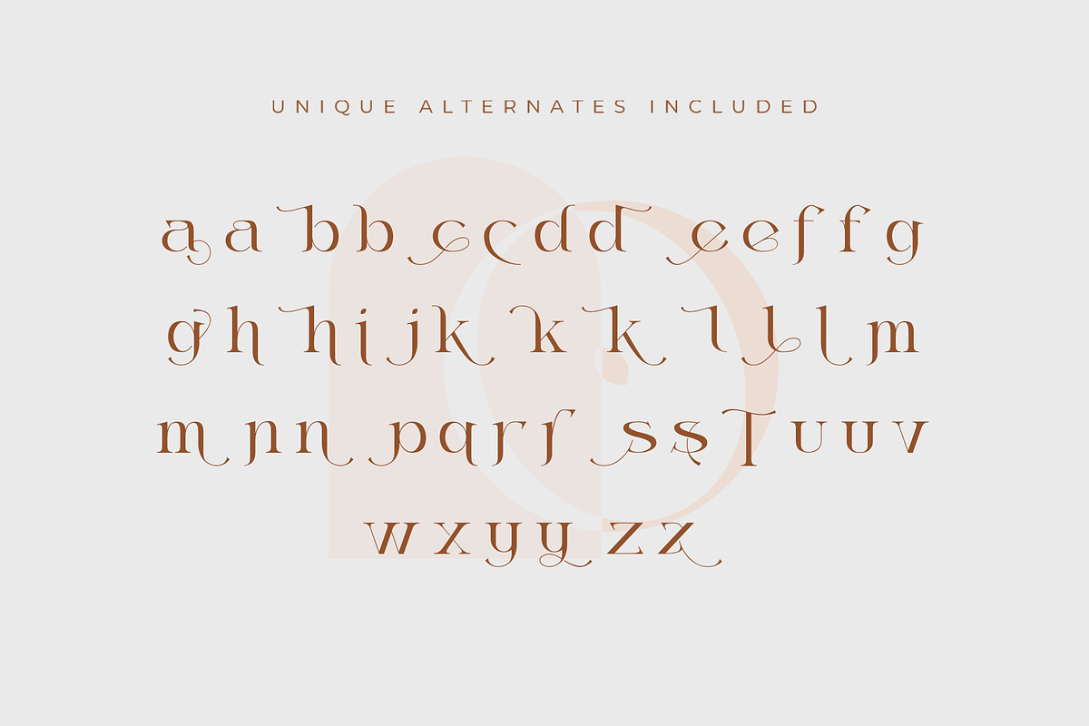 Thanjidor - Elegant Serif Typeface, a Serif Font by overlaytemplates (Photo 4 of 5)