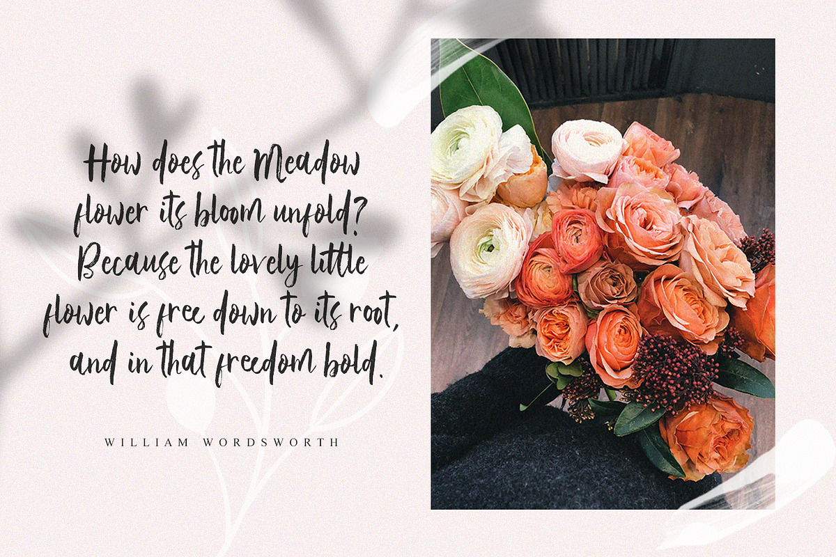 Vetto Rosella - Handwritting Font preview 6