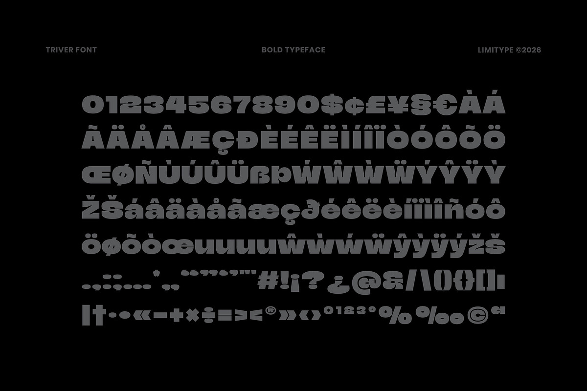 Triver - Bold Inktrap Font, a Sans Serif Font by limitype (Photo 11 of 12)