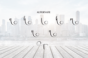 Downtown | Script Font, a Handwritten Font by Scratchones (Thumbnail 8 of 9)