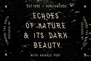 WithAnimals Font, a Handwritten Font by Towards The North (Thumbnail 8 of 8)