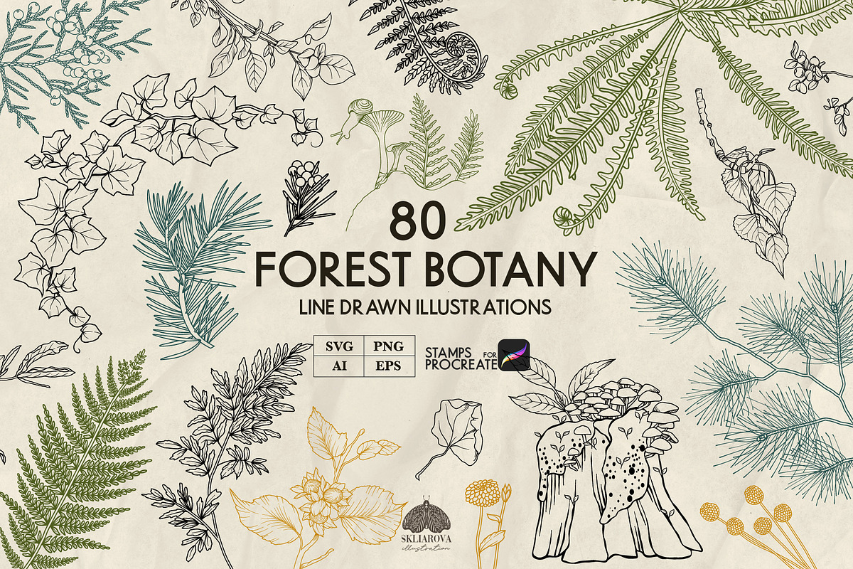 Forest Botany Line Art + Procreate, a Brush Add-On by Skliarova (Photo 1 of 6)