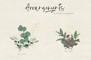 Ferns & Foliage Illustrations