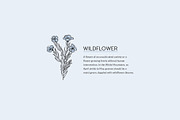 Artistic Florals & Crystals, an Illustration by amber&ink (Thumbnail 4 of 9)