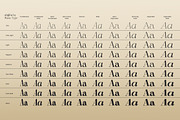 Shiffont Serif, a Serif Font by MasaType (Thumbnail 11 of 12)
