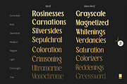 TBJ Palatino San serif With Serif, a Serif Font by Taboja Studio (Thumbnail 5 of 26)