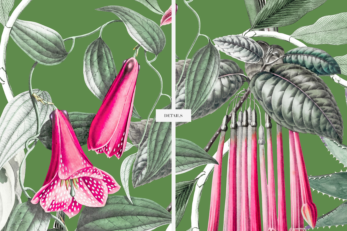 Meloura Luxury Patterns And Elements, a Pattern Graphic by LEAFure (Photo 7 of 9)