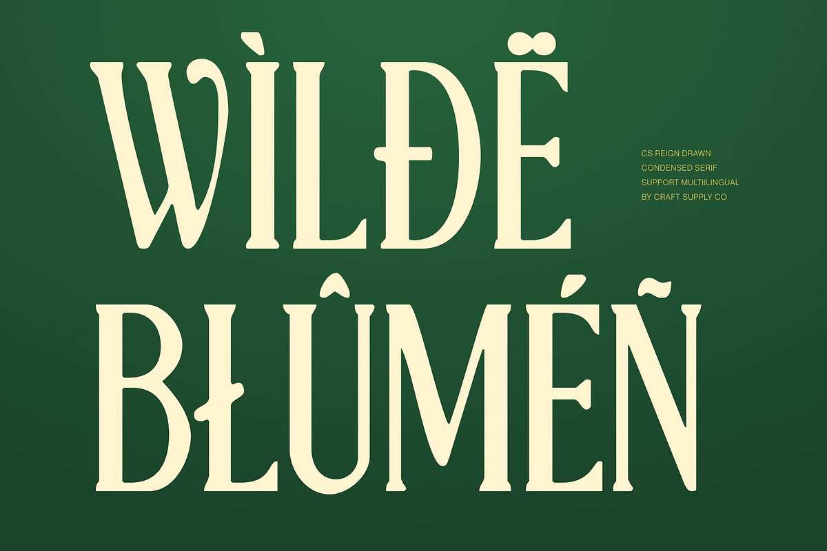 CS Reign Drawn, a Serif Font by Craft Supply Co. (Photo 5 of 8)