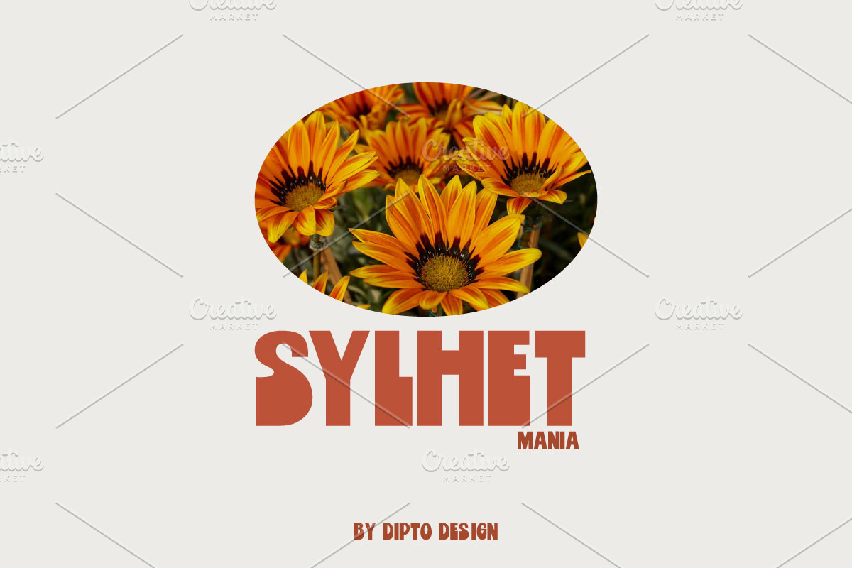 Triptik-Psychedelic Typeface, a Sans Serif Font by Dipto design (Photo 2 of 6)