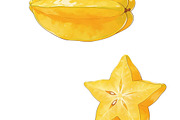 All Fruits Bundle Master Collection, a Food & Drink Photo by FlyeredTemplate (Thumbnail 120 of 130)