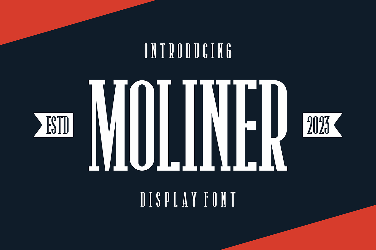 Moliner, a Serif Font by lelevien (Photo 1 of 5)
