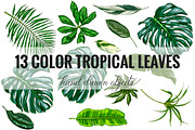 Tropical leaves. Vector Collection, an Illustration by JSolomatina (Thumbnail 2 of 5)