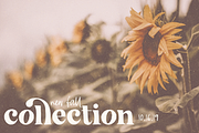 The California | Serif Font Duo, a Serif Font by KA Designs (Thumbnail 6 of 24)