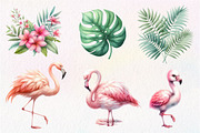 Watercolor flamingo clipart, an Illustration by CreationArt (Thumbnail 5 of 5)