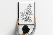 Peonies Line Art, a Decorative Illustration by Anastasia (Thumbnail 3 of 9)
