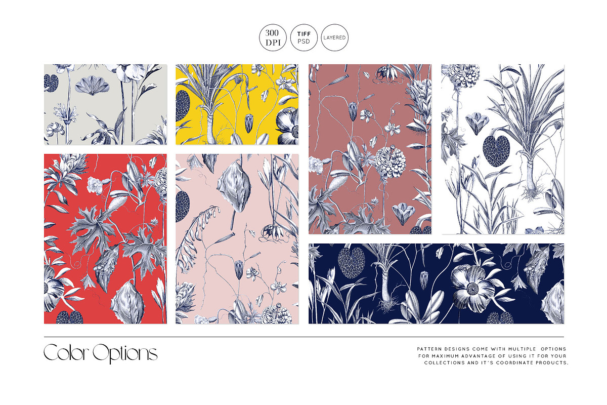 Toile Botanique, luxury Prints!, a Pattern Graphic by Pink Linen (Photo 2 of 12)