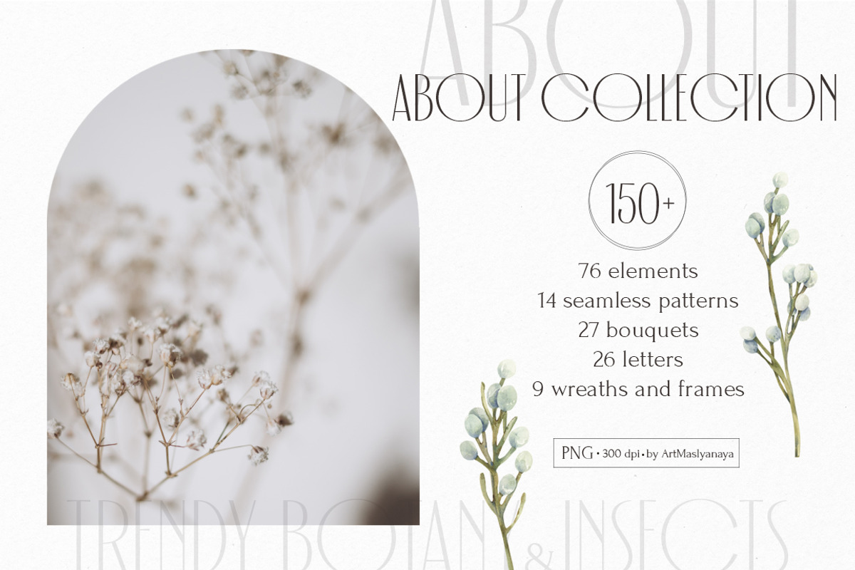 Trendy botany Watercolor collection, an Object Illustration by ArtMaslyana (Photo 2 of 10)