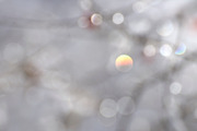 Rainbow Bokeh Light Abstract Photo, an Abstract Photo by artbyjocelyn.digital (Thumbnail 4 of 4)