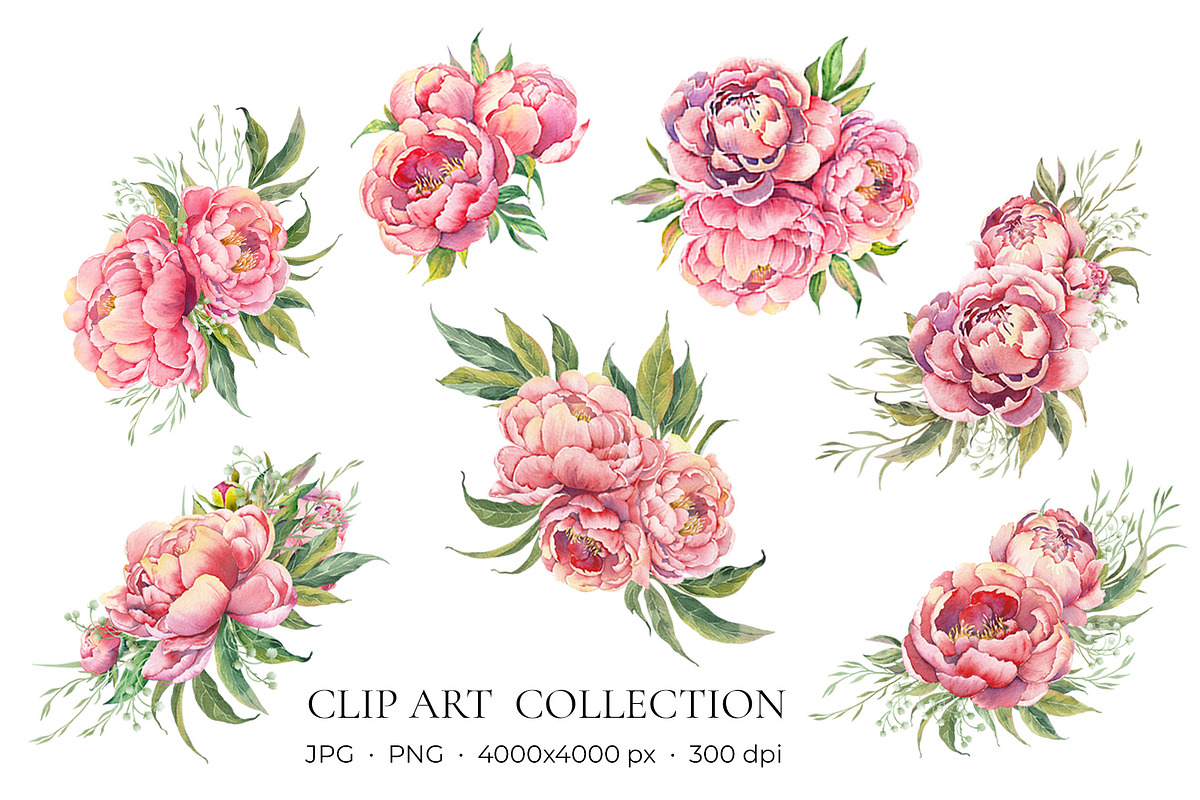 PEONY watercolor clip art & patterns, an Object Graphic by Jeanna Draw (Photo 3 of 15)