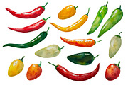 Watercolor set of hot chili peppers, a Food Illustration by Robusta (Thumbnail 2 of 6)
