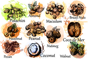Nuts