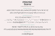 Prose Sans | Sans Serif Font Family, a Sans Serif Font by Ayca Atalay (Thumbnail 11 of 11)
