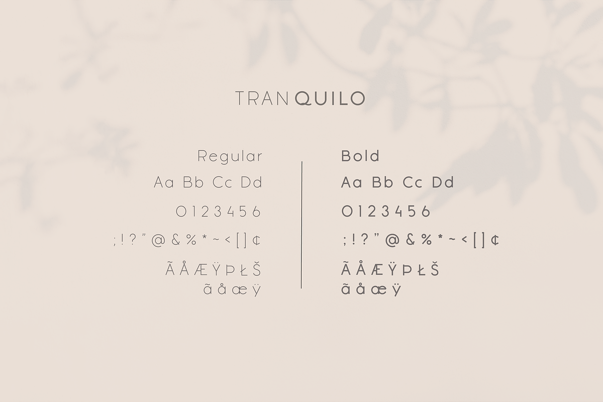 Tranquilo Boho | Font Duo, a Script Font by Vanem Studio (Photo 12 of 14)