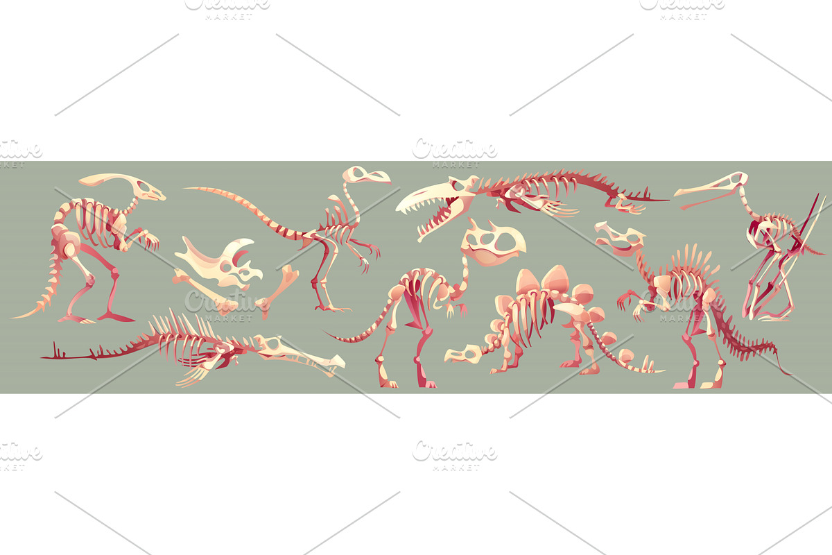 Cartoon dinosaur skeleton fossil, an Animal Illustration by art PVP - market