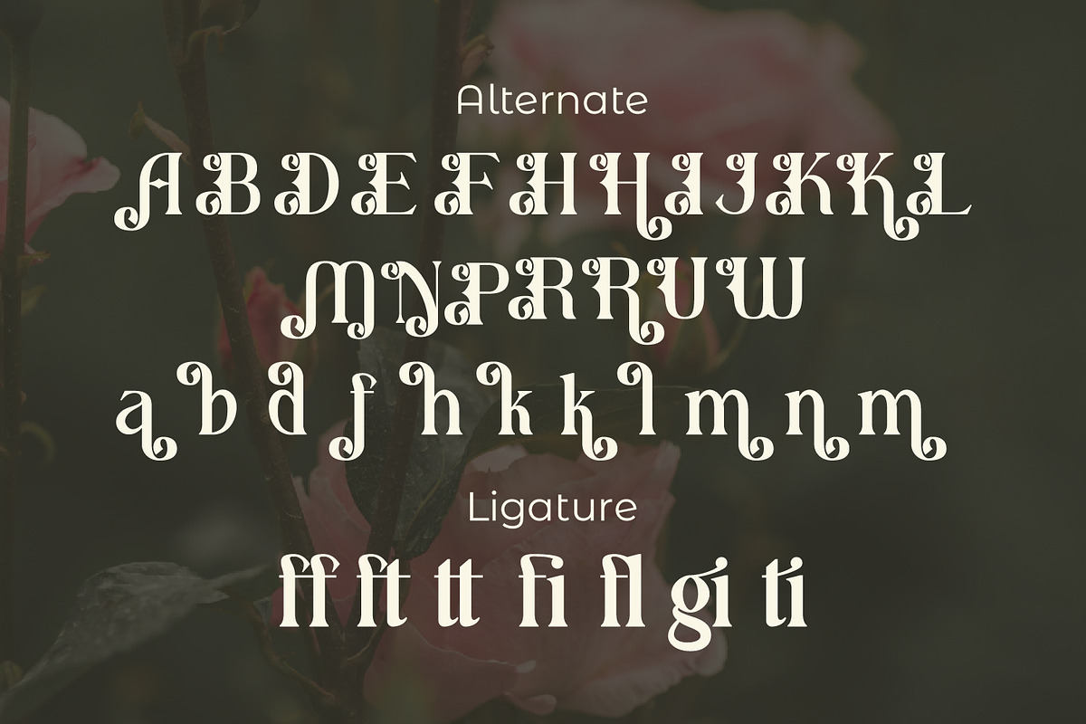 Realugi, a Serif Font by Rishsketch (Photo 12 of 13)
