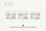 17 Procreate Color Palette - BUNDLE, a Palette Add-On by slowlivecreate (Thumbnail 4 of 7)