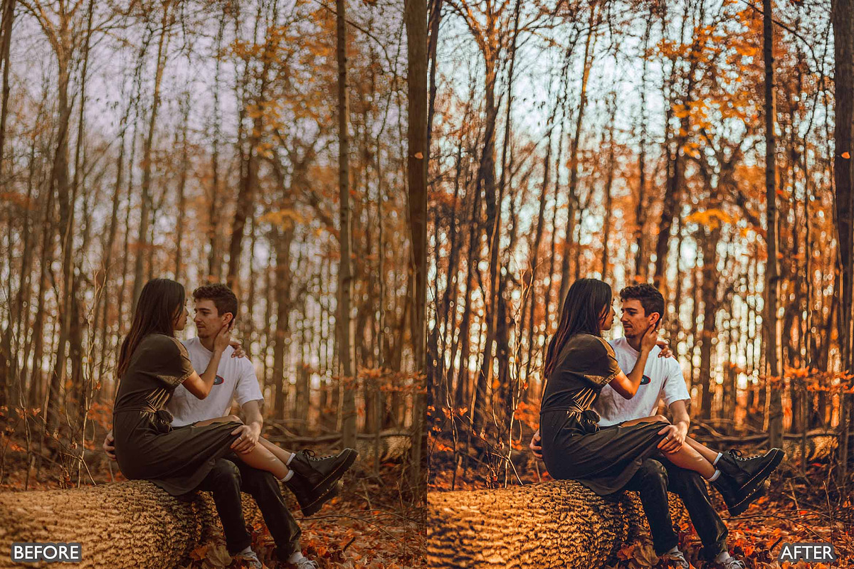 FALL PRESETS for Autumn Photos, a Preset Add-On by AAA Presets (Photo 15 of 22)