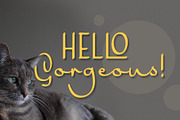 Harmona, a Script Font by Locomotype (Thumbnail 3 of 10)