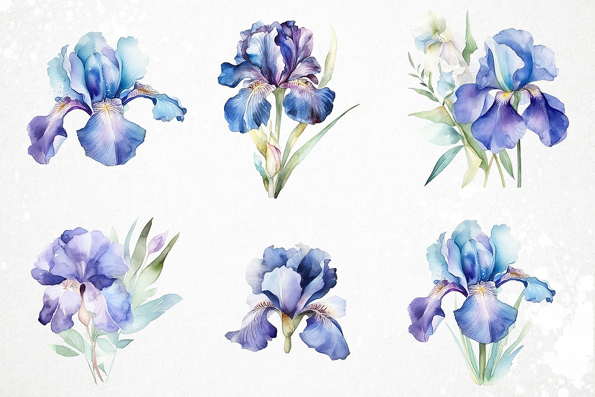Watercolor iris PNG overlays, an Object Graphic by PixelJungle (Photo 2 of 3)
