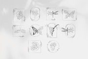 Botanical posters, a Decorative Illustration by Merfin (Thumbnail 4 of 7)