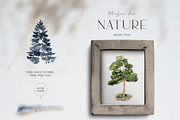 FOREST - Watercolor Collection, an Animal Illustration by PatrushevaYana (Thumbnail 5 of 8)