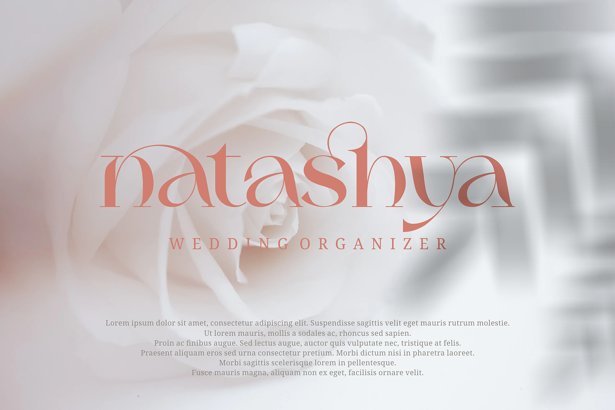 Mylanish _ unique modern typeface, a Serif Font by Penatic Studio (Photo 3 of 11)