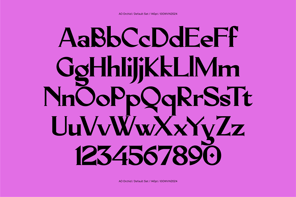 AO Orchid - Decorative Typeface, a Serif Font by OwunStudio (Photo 2 of 15)