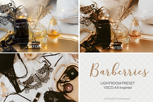 Desktop Lightroom Presets BARBERRY