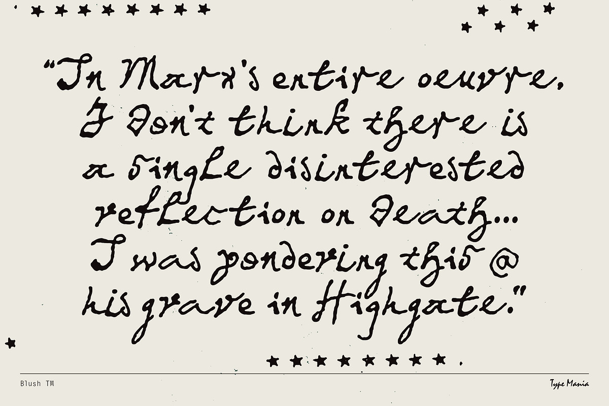 Blush TM – Messy Dynamic Script, a Handwritten Font by Type Mania (Photo 6 of 12)